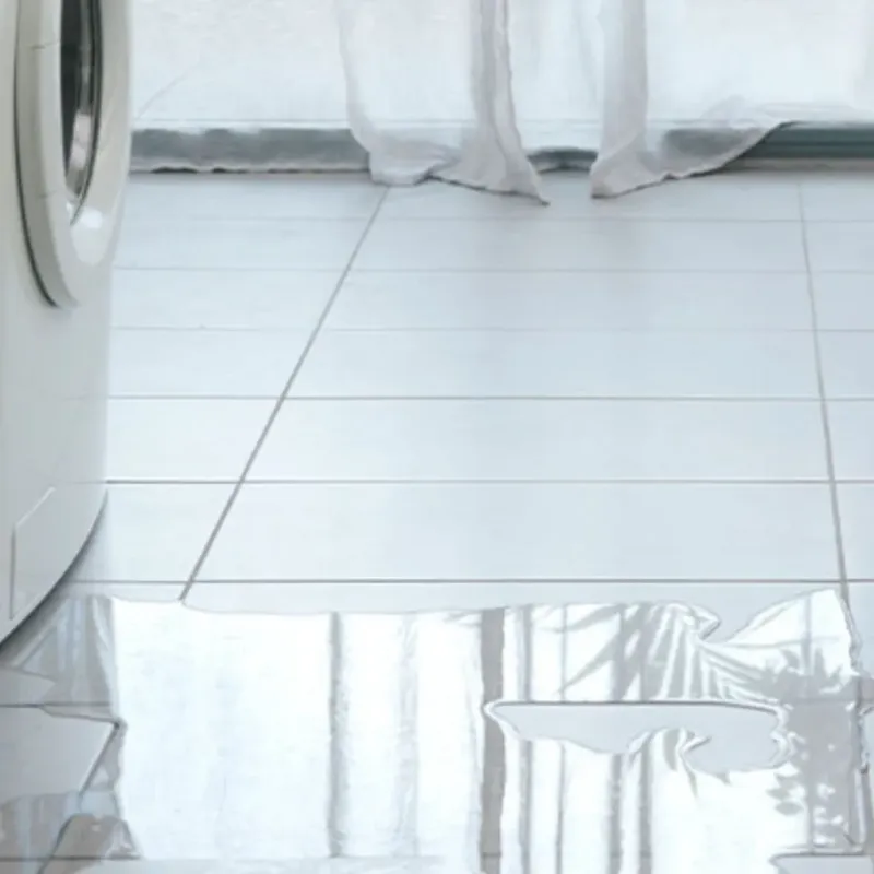 Appliance Leak Cleanup in Polk City, FL