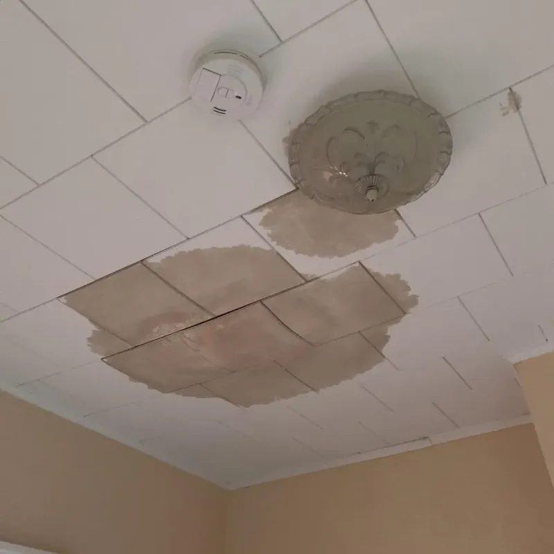 Ceiling Water Damage Repair in Polk City, FL